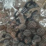 beads 10mm